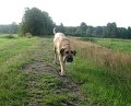 24.07.2009 - Klaus ist 40 003